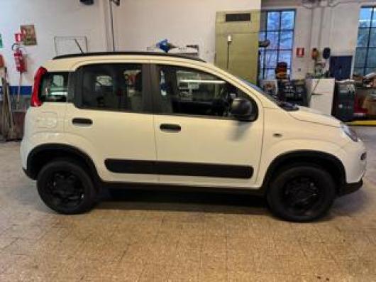 usato FIAT Panda