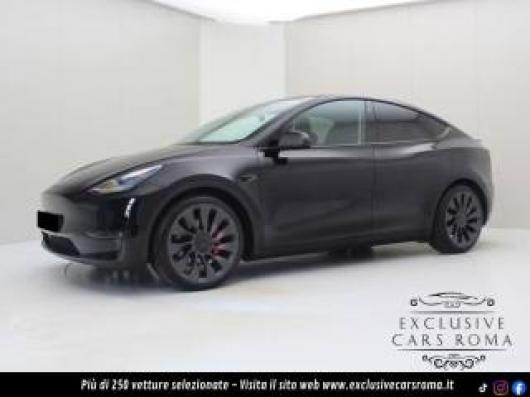 usato TESLA Model Y