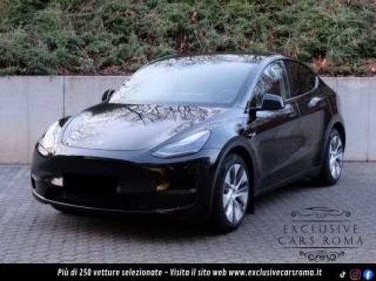 usato TESLA Model Y