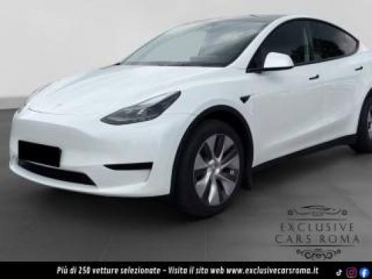 usato TESLA Model Y