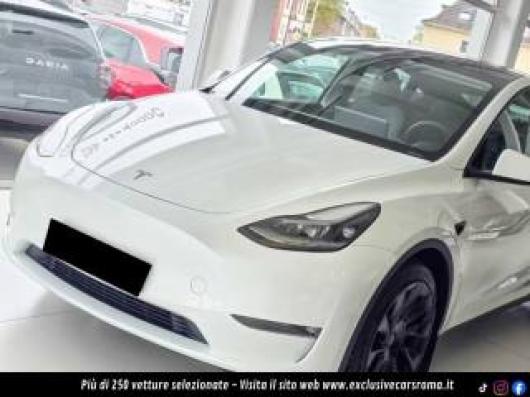 usato TESLA Model Y