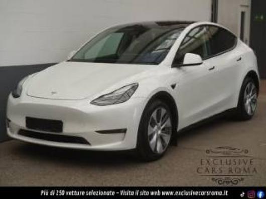 usato TESLA Model Y