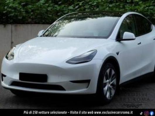 usato TESLA Model Y