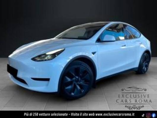 usato TESLA Model Y