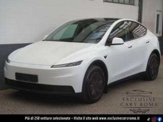 usato TESLA Model Y