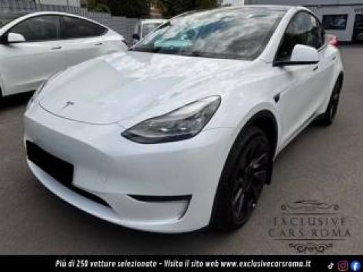 usato TESLA Model Y