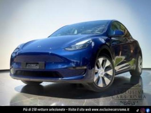 usato TESLA Model Y