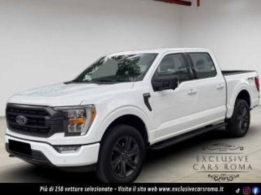 usato FORD F 150