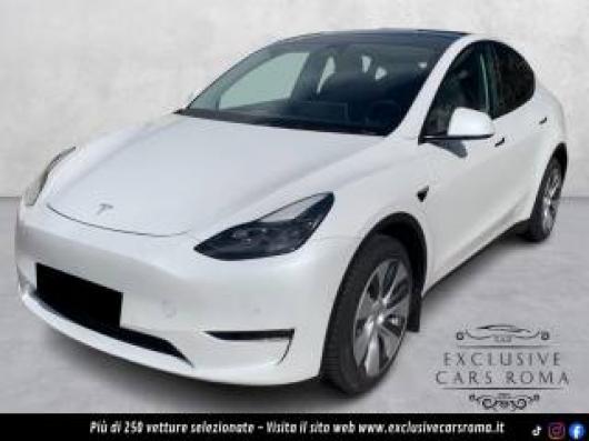 usato TESLA Model Y