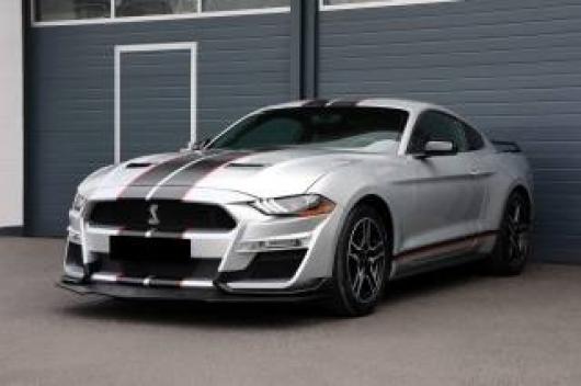 Mustang