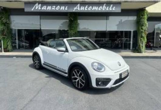 Beetle