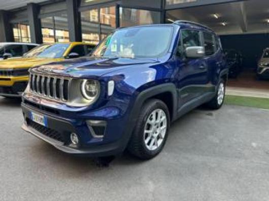 usato JEEP Renegade