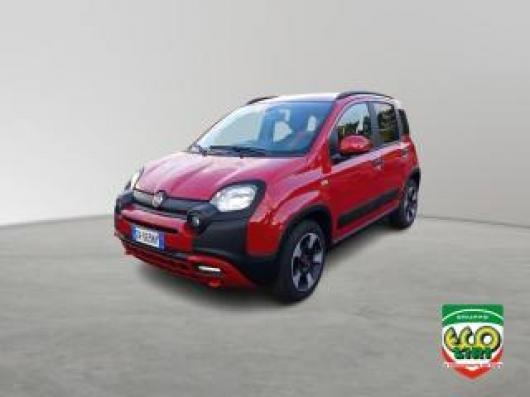 usato FIAT Panda Cross