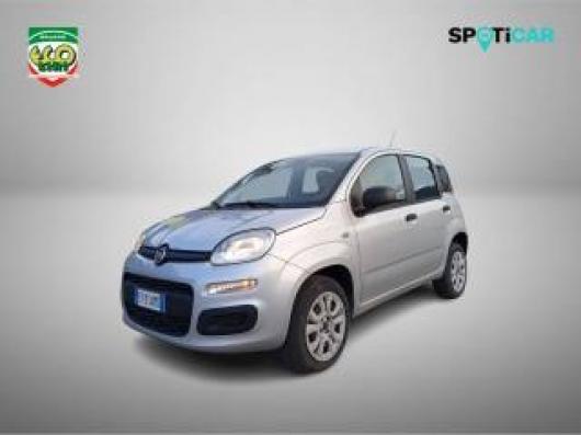 usato FIAT Panda