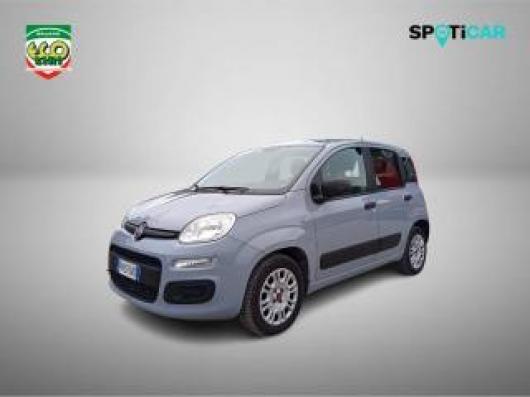 usato FIAT Panda