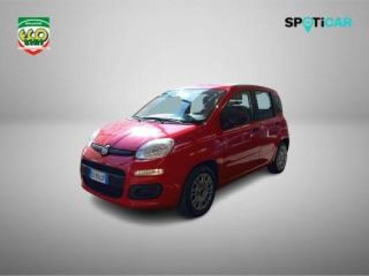 usato FIAT Panda