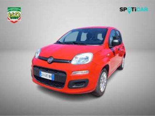 usato FIAT Panda