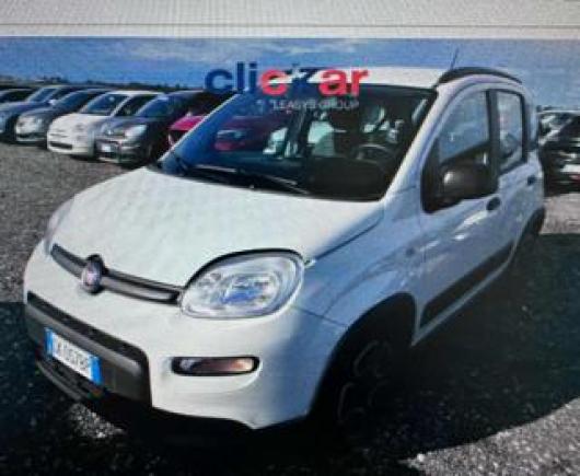 usato FIAT Panda