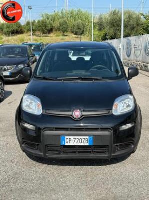 usato FIAT Panda