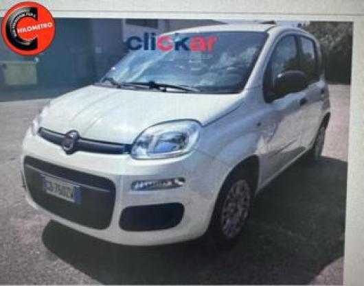 usato FIAT Panda