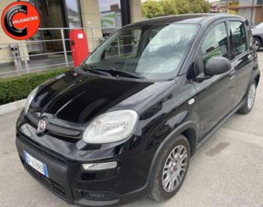 usato FIAT Panda