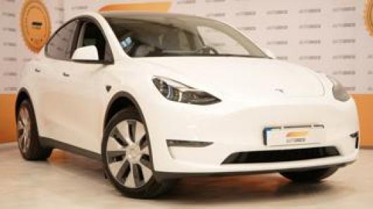 usato TESLA Model Y