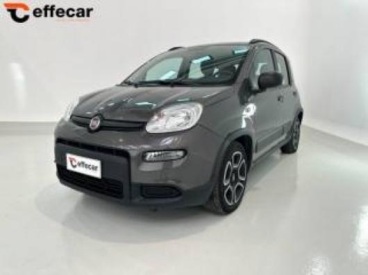 usato FIAT Panda