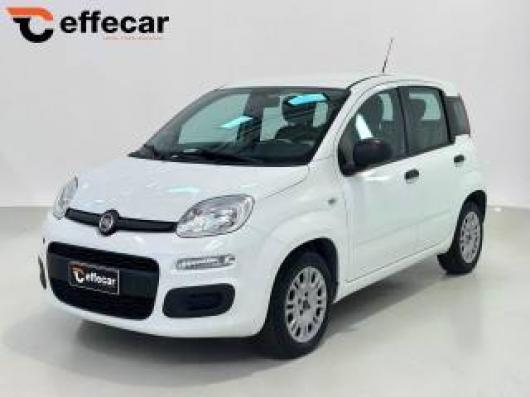 usato FIAT Panda