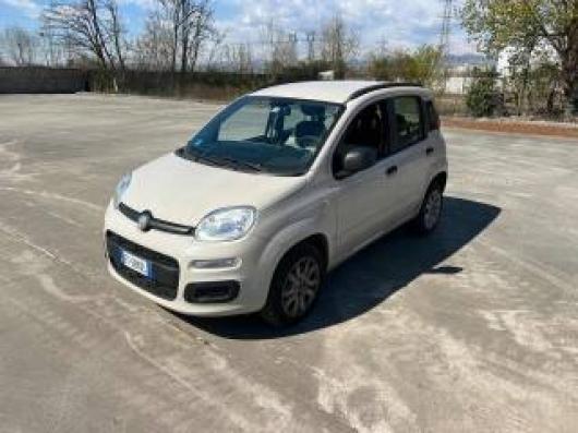 usato FIAT Panda