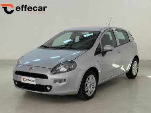 usato FIAT Punto