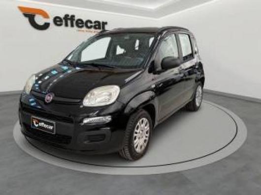 usato FIAT Panda