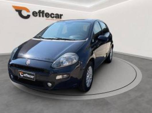 usato FIAT Punto