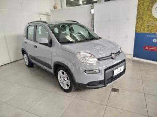 usato FIAT Panda
