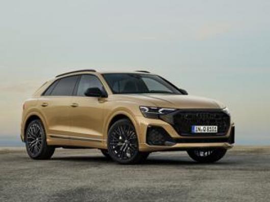 usato AUDI Q8