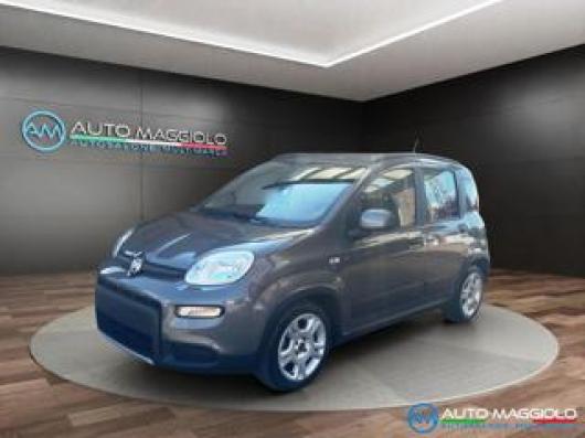 usato FIAT Panda
