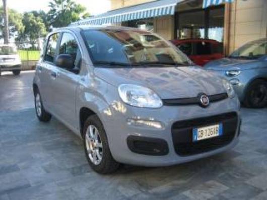New Panda