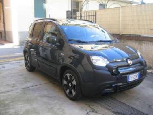 usato FIAT New Panda