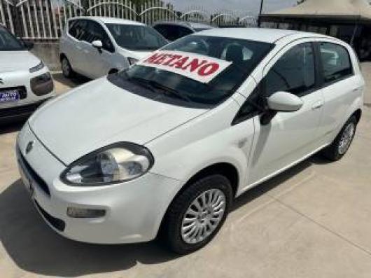usato FIAT Punto