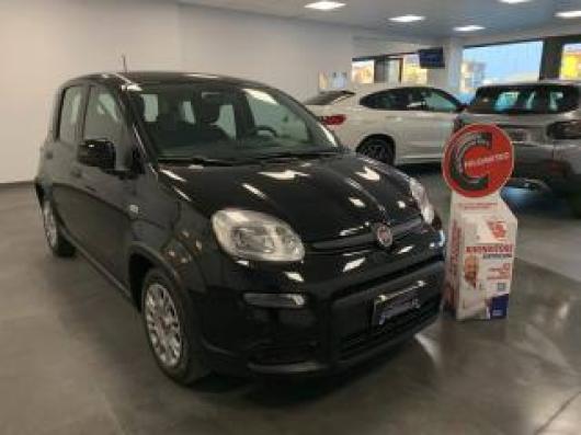 usato FIAT Panda