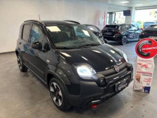 usato FIAT Panda Cross