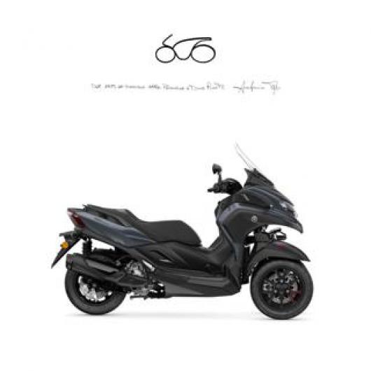 Tricity 300