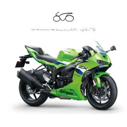 usato KAWASAKI Ninja 636 ZX 6R