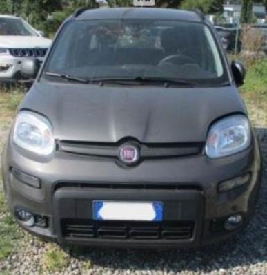 usato FIAT Panda