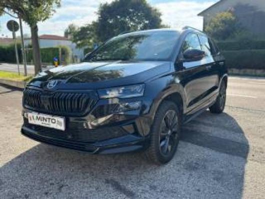 usato SKODA Karoq