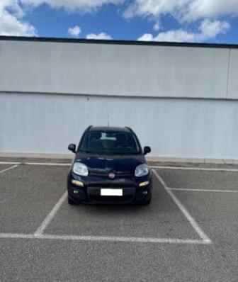 usato FIAT Panda