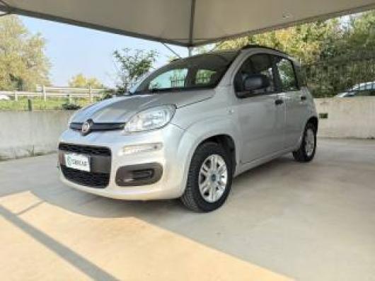 usato FIAT Panda