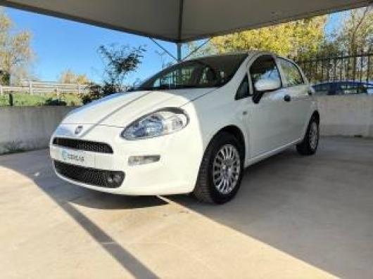 usato FIAT Punto
