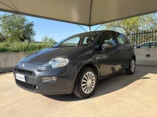 usato FIAT Punto