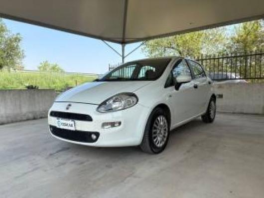 usato FIAT Punto