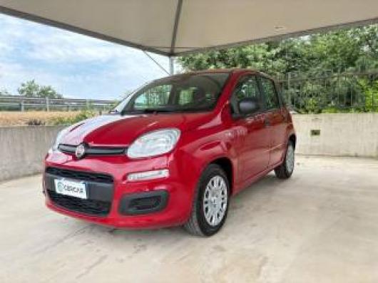 usato FIAT Panda